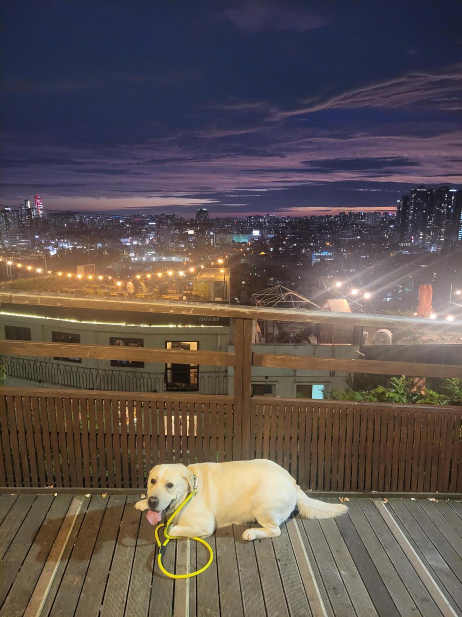 Brand New 2 Bedroom Apartment #6 Seoul Ngoại thất bức ảnh