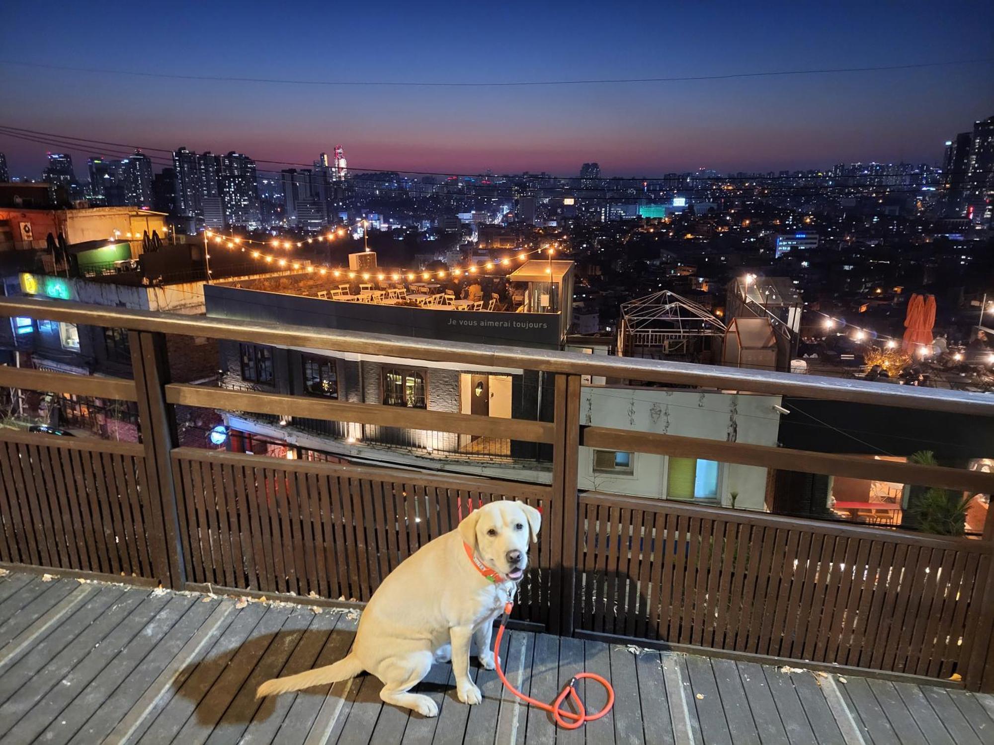 Brand New 2 Bedroom Apartment #6 Seoul Ngoại thất bức ảnh