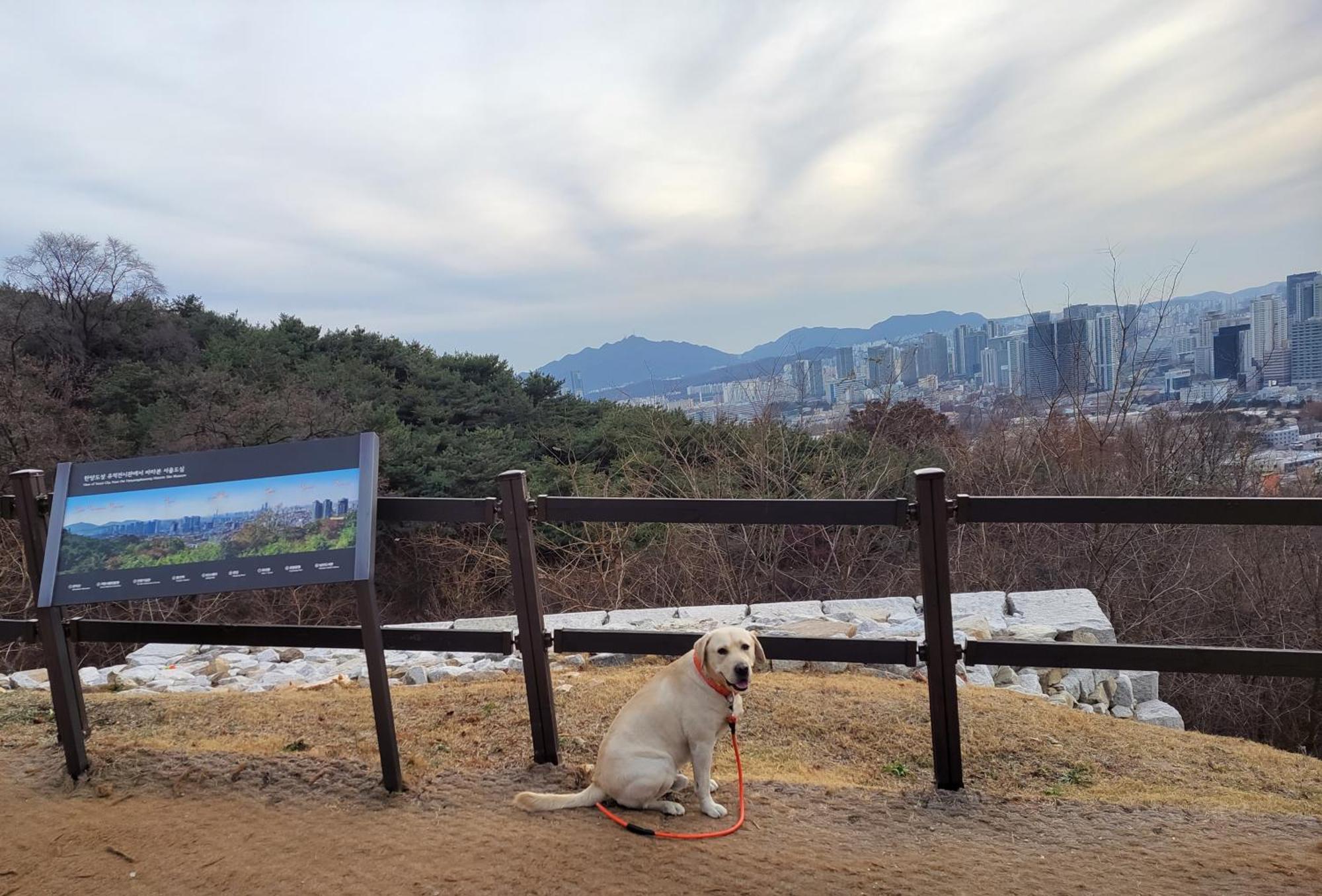 Brand New 2 Bedroom Apartment #6 Seoul Ngoại thất bức ảnh