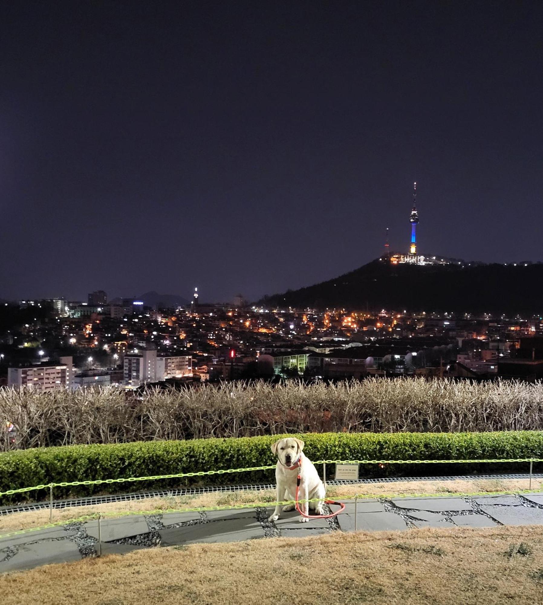 Brand New 2 Bedroom Apartment #6 Seoul Ngoại thất bức ảnh