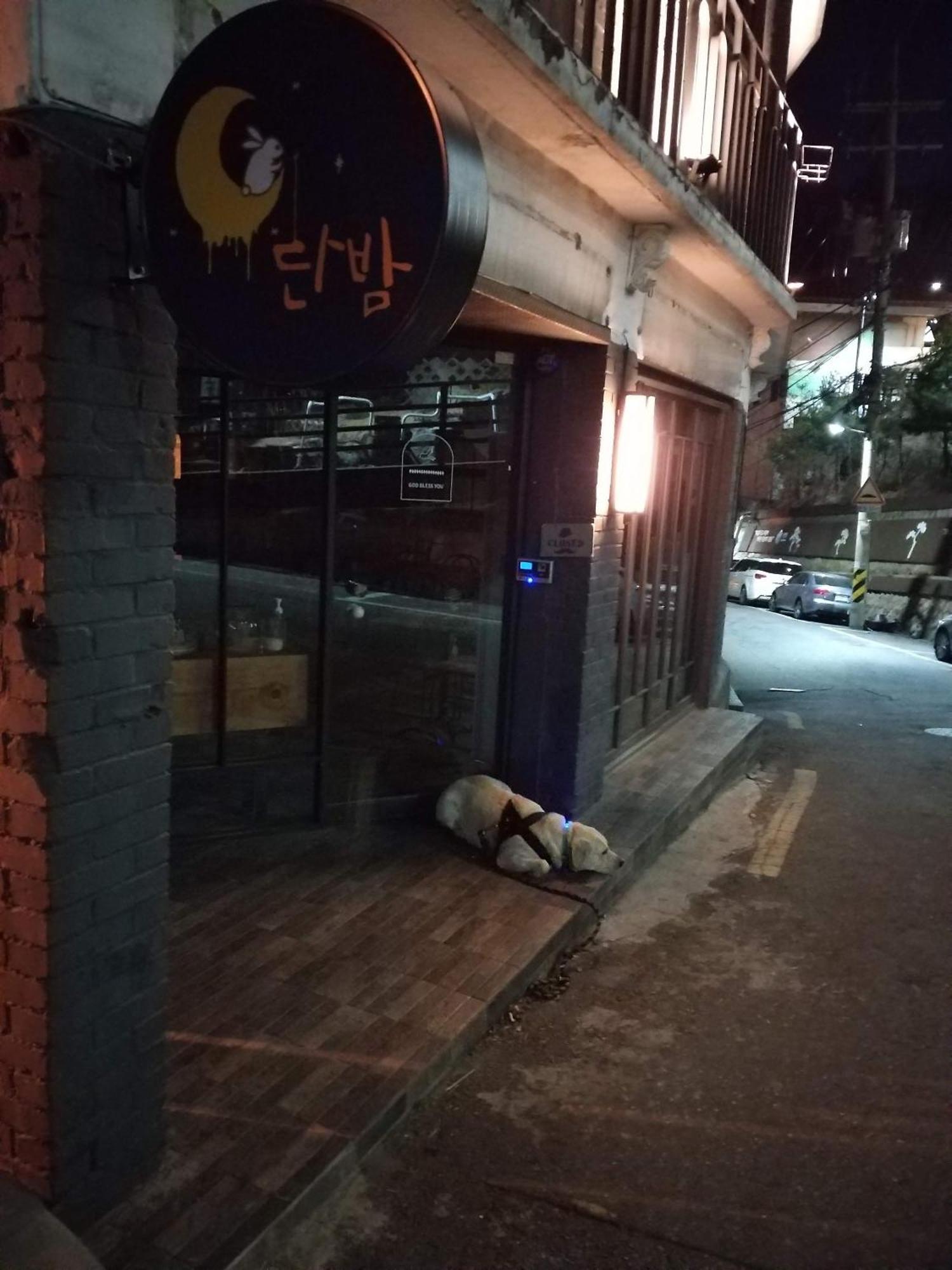 Brand New 2 Bedroom Apartment #6 Seoul Ngoại thất bức ảnh